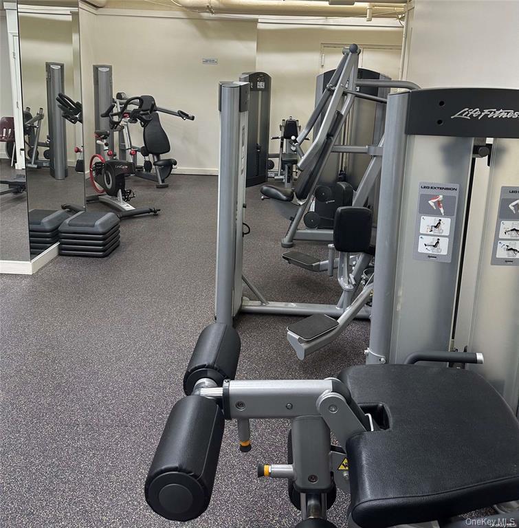 #16 photo, 66-36 Yellowstone Boulevard, Forest Hills , NY 11375