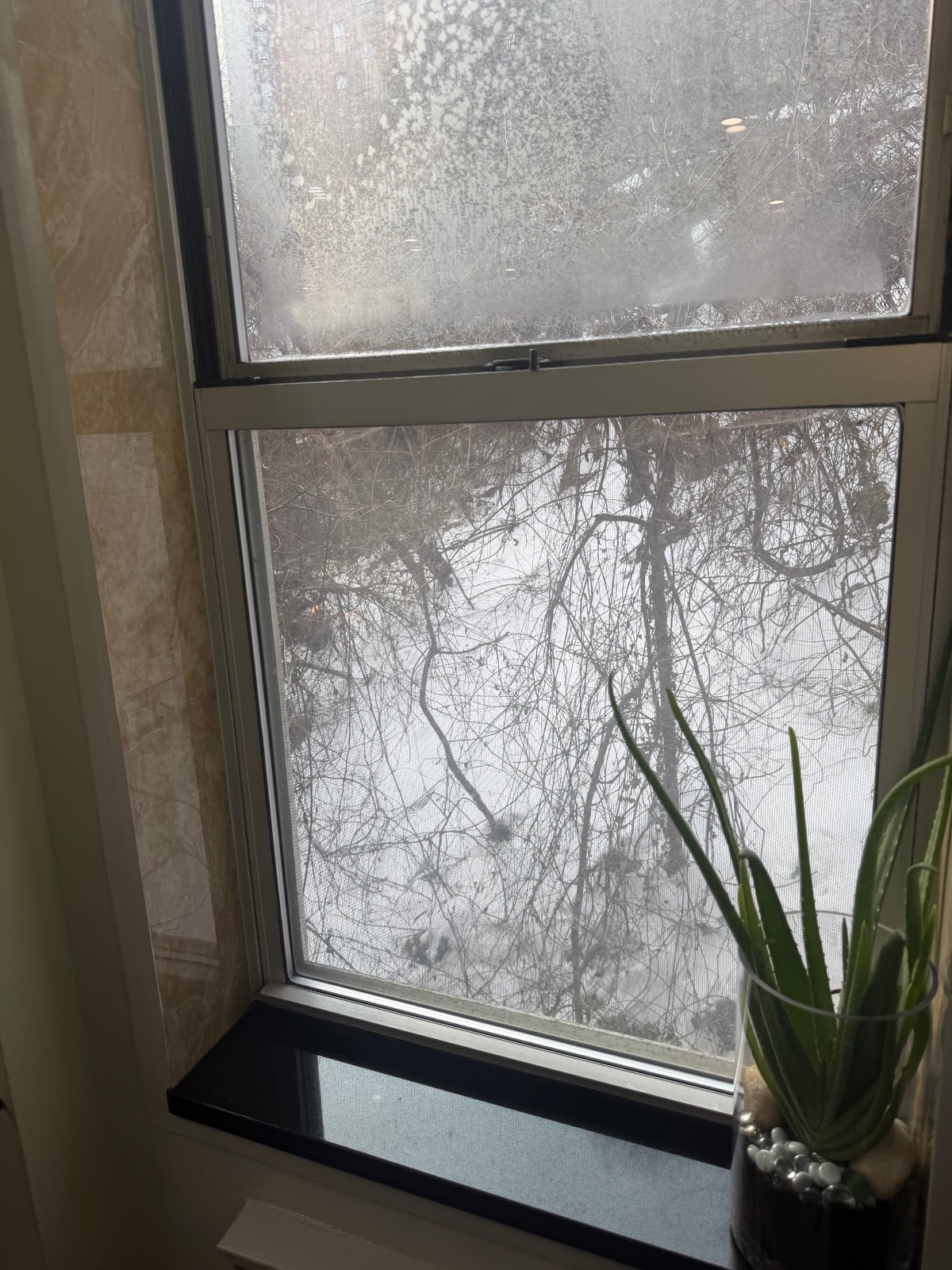 #22 photo, 5425 Valles Ave, Apt 2L, 布朗士 North Riverdale , NY 10471