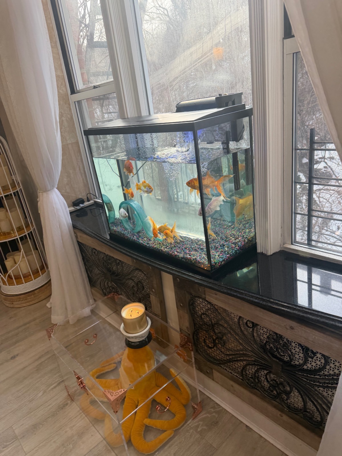 #23 photo, 5425 Valles Ave, Apt 2L, 布朗士 North Riverdale , NY 10471