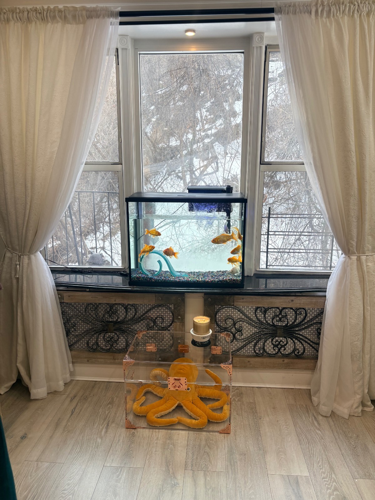 #4 photo, 5425 Valles Ave, Apt 2L, 布朗士 North Riverdale , NY 10471