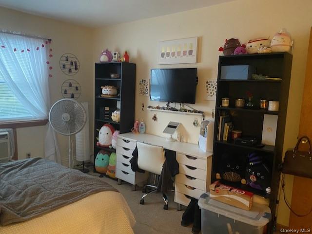 #10 photo, 14 Alpine Drive, Wappingers Falls , NY 12590