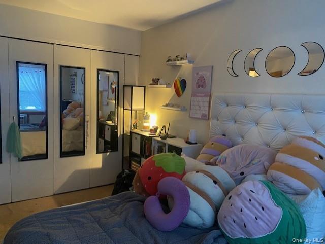 #9 photo, 14 Alpine Drive, Wappingers Falls , NY 12590