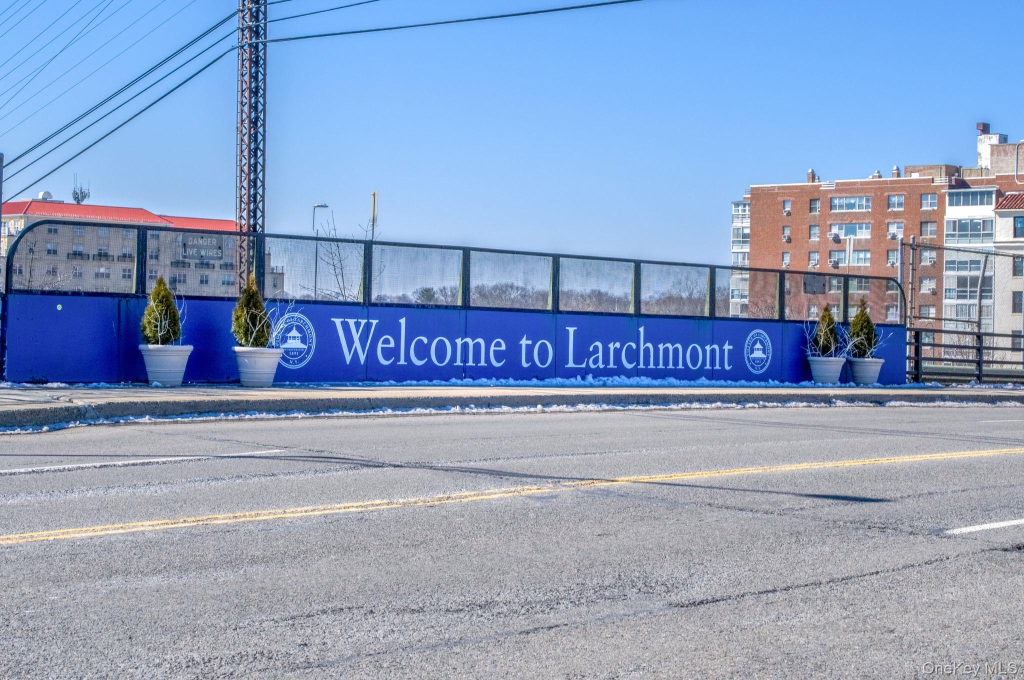 #9 photo, 6 Shadow Lane, 紐約州 Larchmont , NY 10538