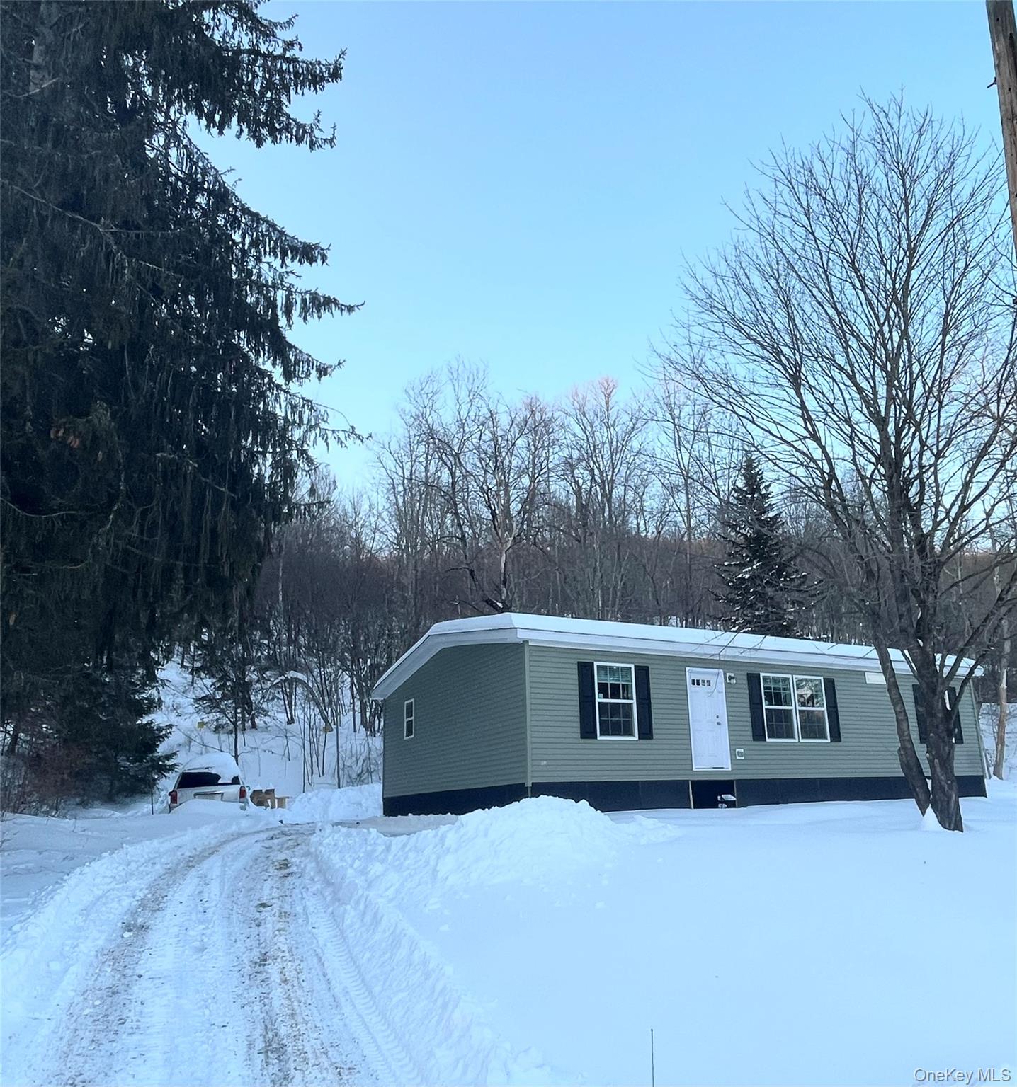 #2 photo, 317 Debruce Road, Livingston Manor , NY 12758