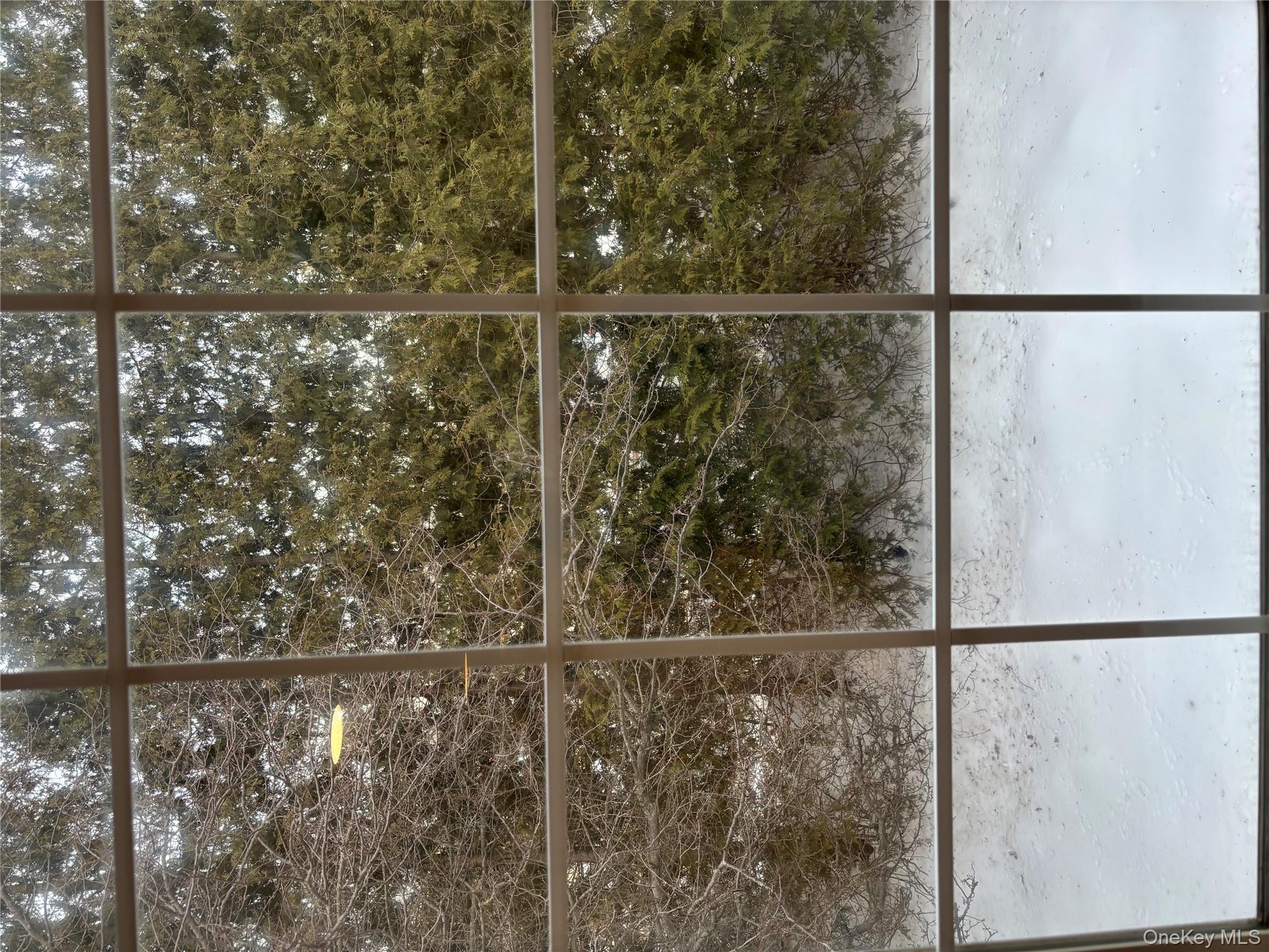 #12 photo, 166 East Crooked Hill Rd, 紐約州 Pearl River , NY 10965