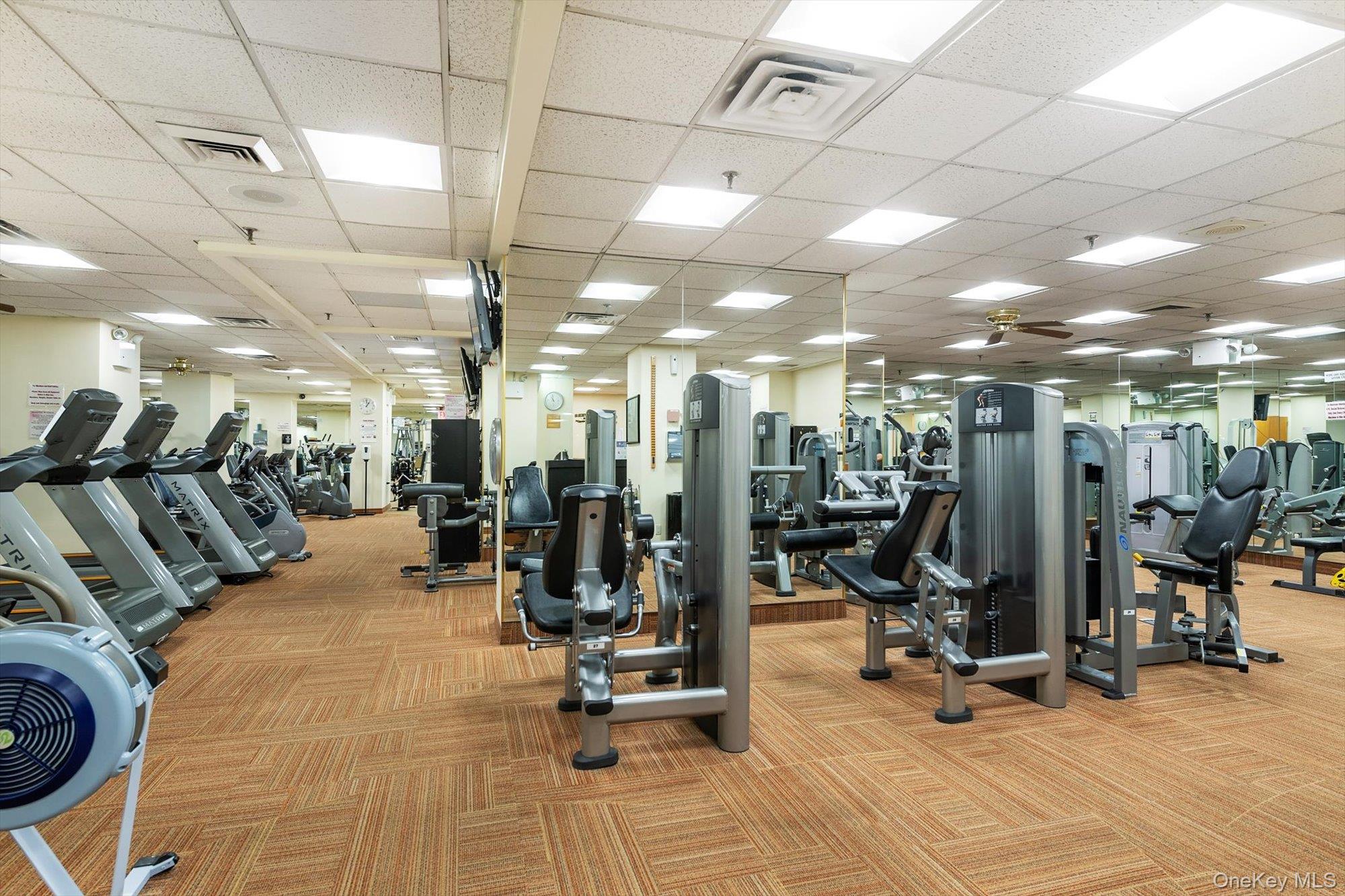 #14 photo, 271-10 Grand Central Pkwy, Куинс ‖ Floral Park , NY 11005