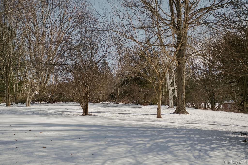 #18 photo, 1539 Hollow Road, Clinton Corners , NY 12514