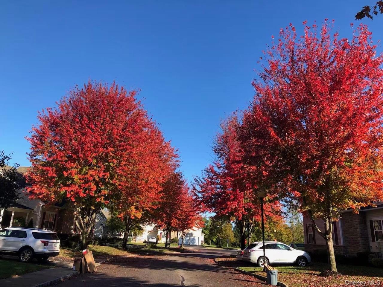 #6 photo, 75 Meadow Pond Circle, Саффолк ‖ Miller Place , NY 11764