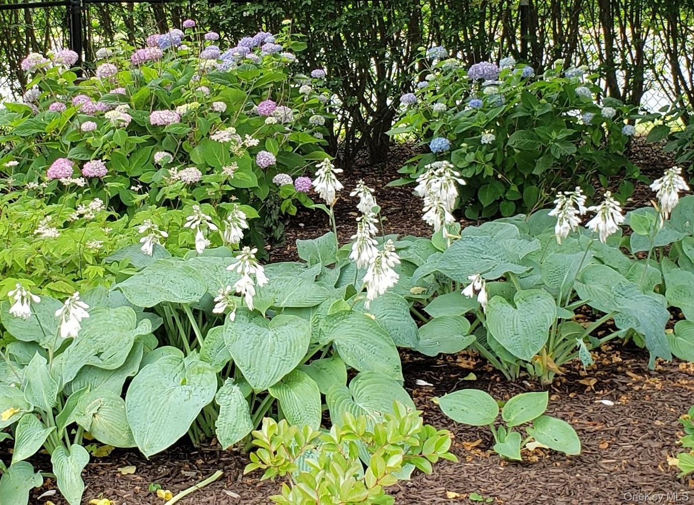 #6 photo, Orient, 东长岛 Orient , NY 11957