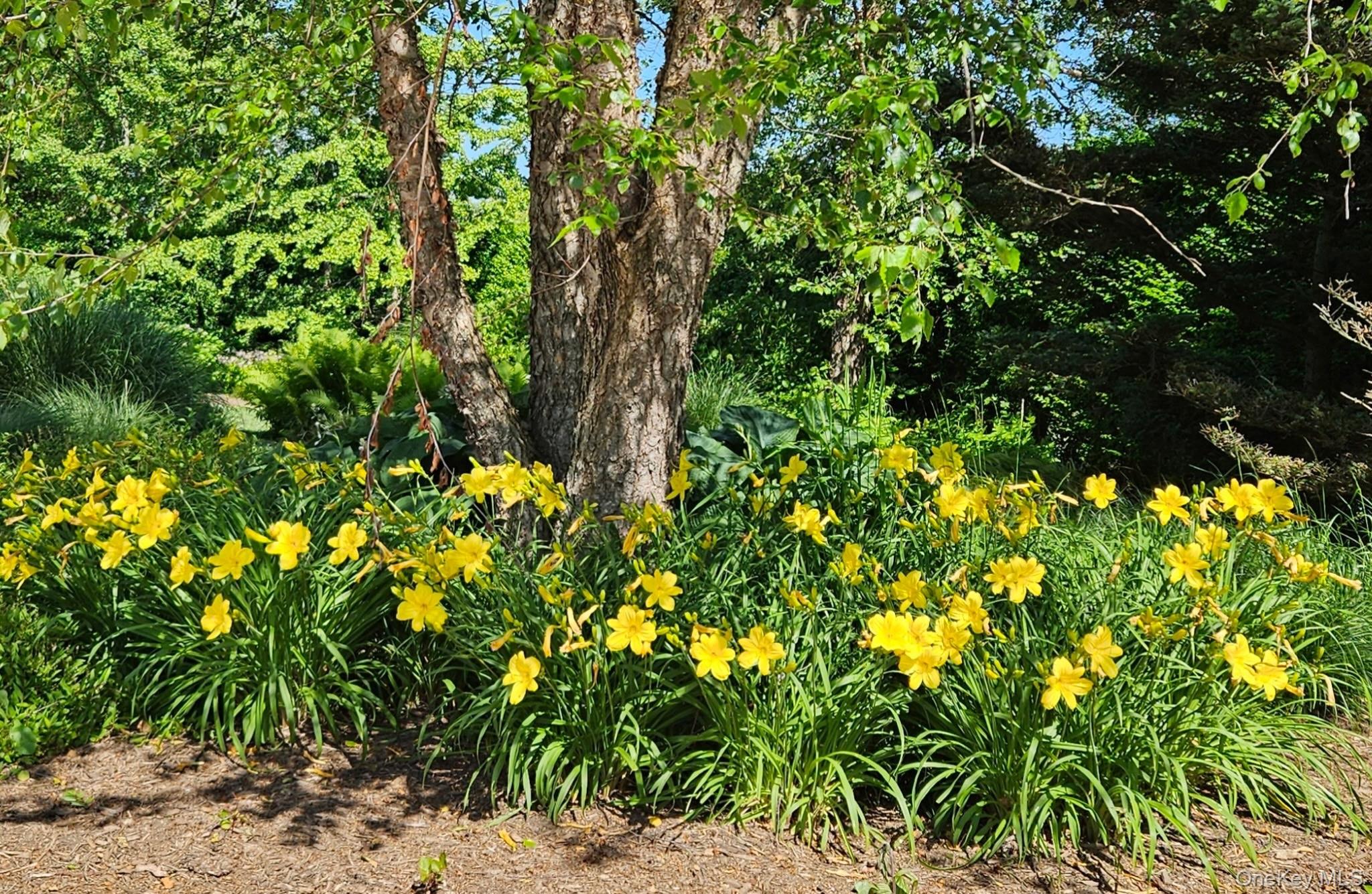 #7 photo, Orient, 东长岛 Orient , NY 11957