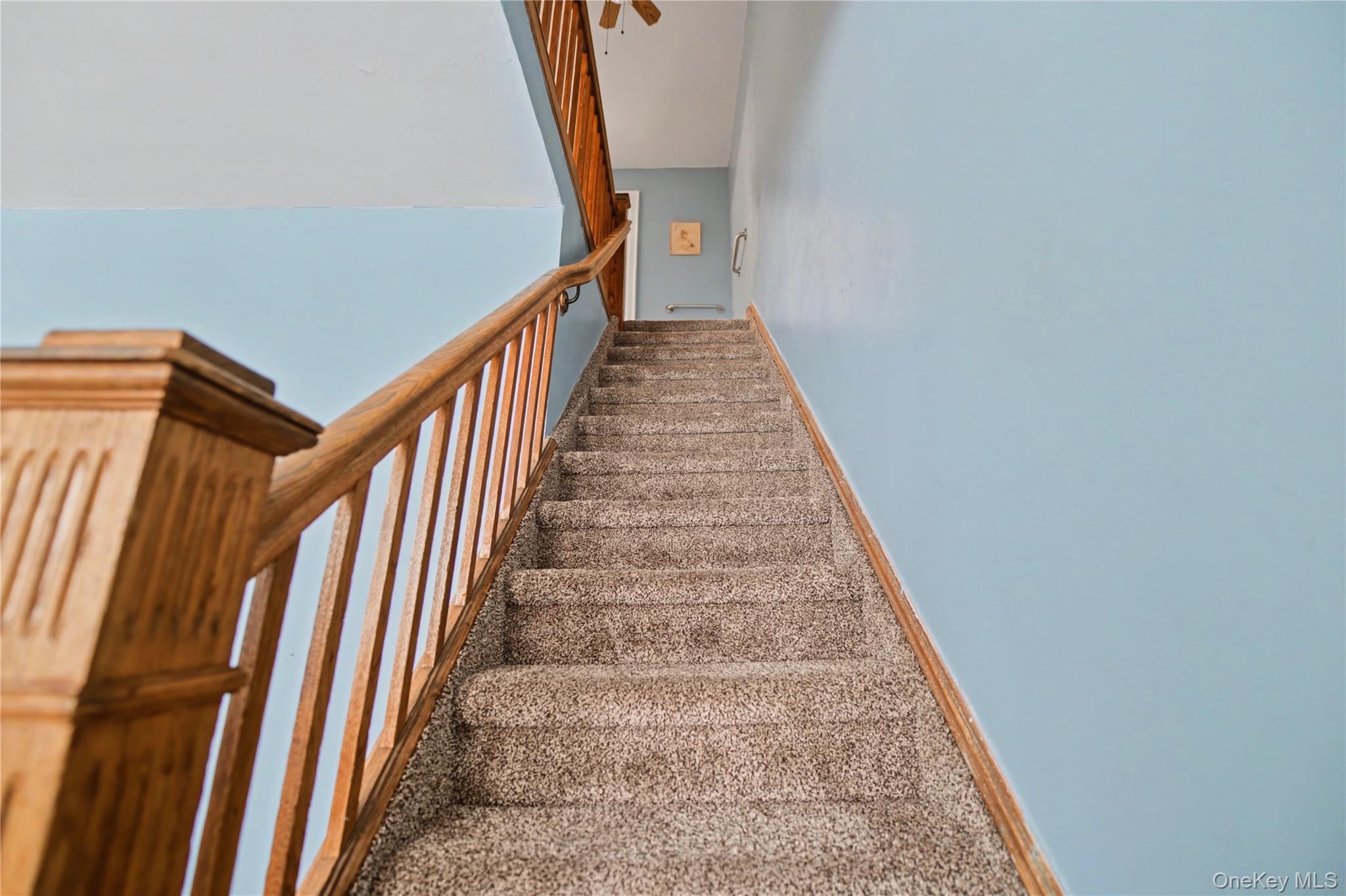 #11 photo, 6537 77th Place, Middle Village , NY 11379