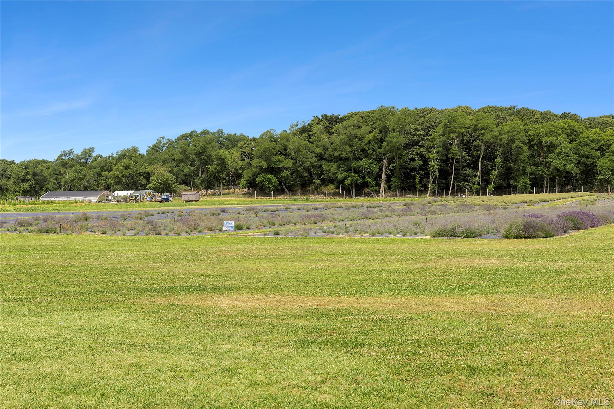 #4 photo, 2551 & 3360 Sound Ave, Riverhead , NY 11901