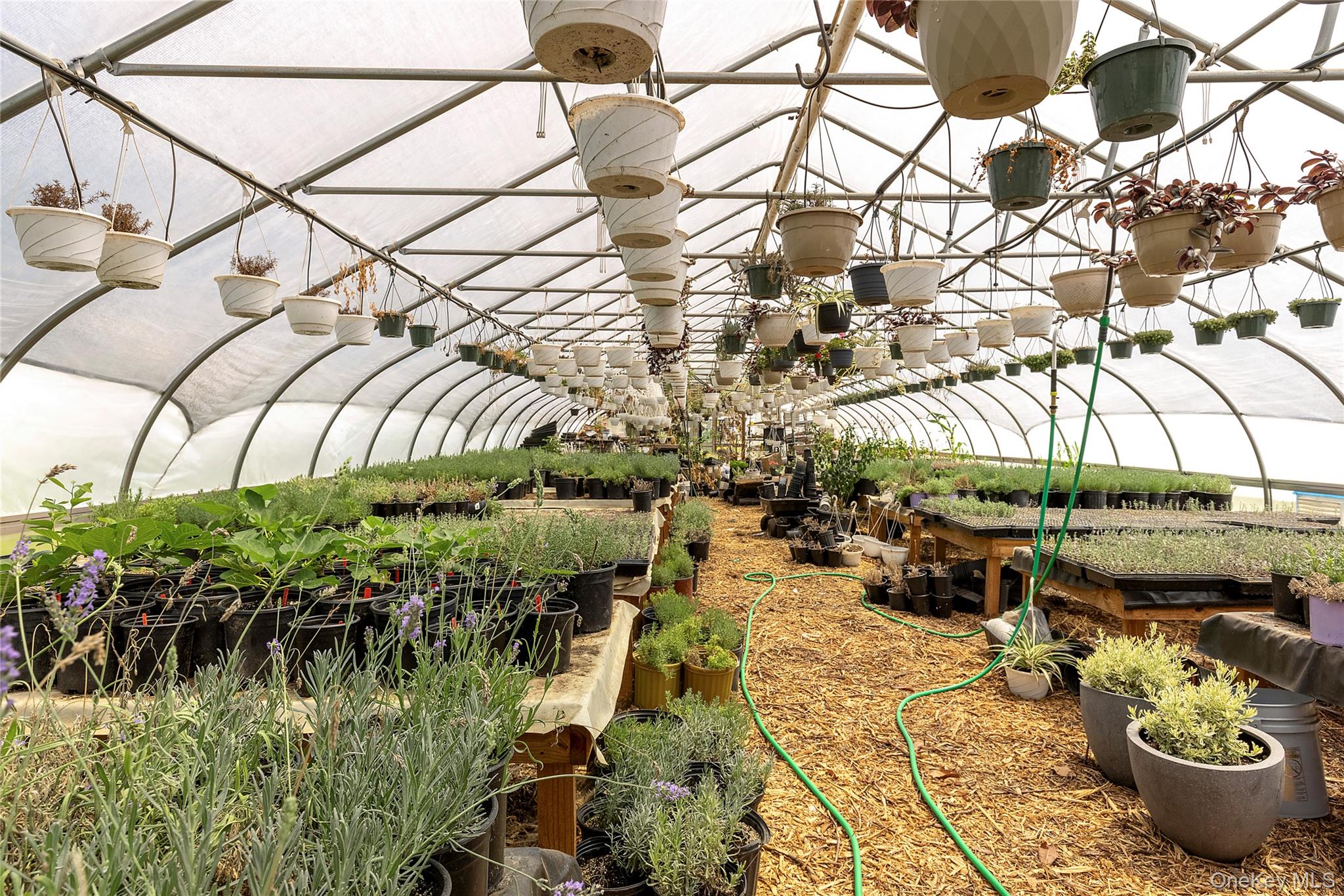 #7 photo, 2551 & 3360 Sound Ave, Riverhead , NY 11901