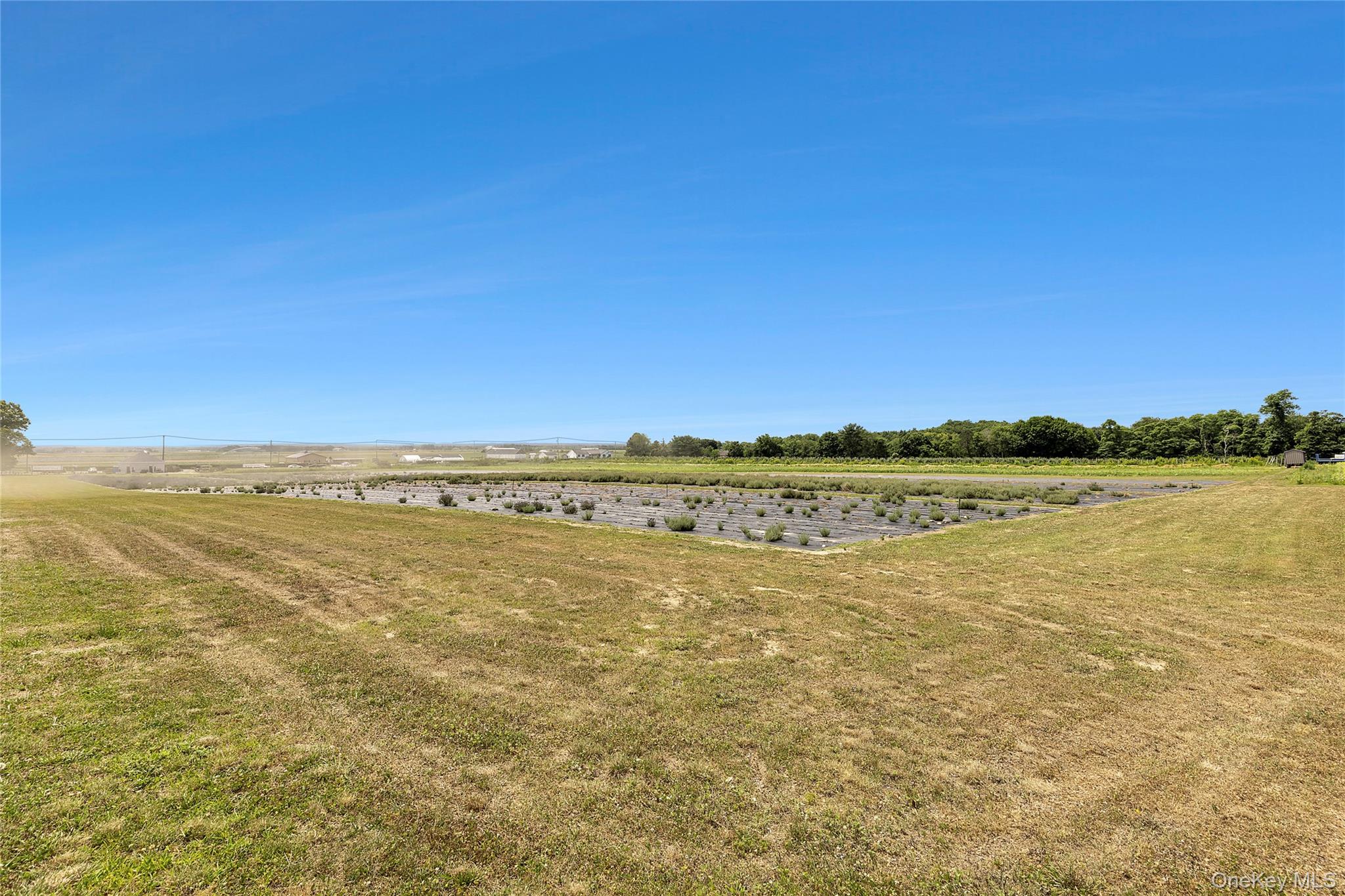 #9 photo, 2551 & 3360 Sound Ave, Riverhead , NY 11901