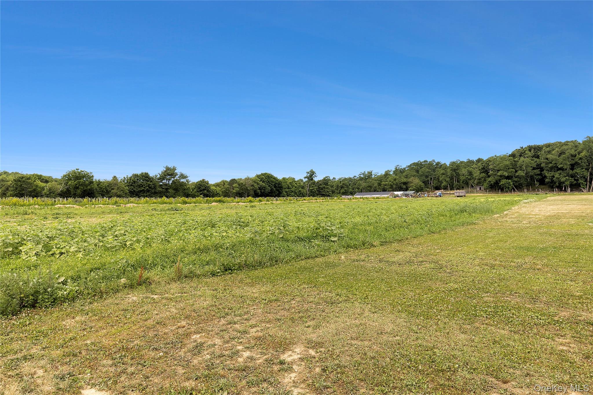 #15 photo, 3360 Sound Avenue, Riverhead , NY 11901