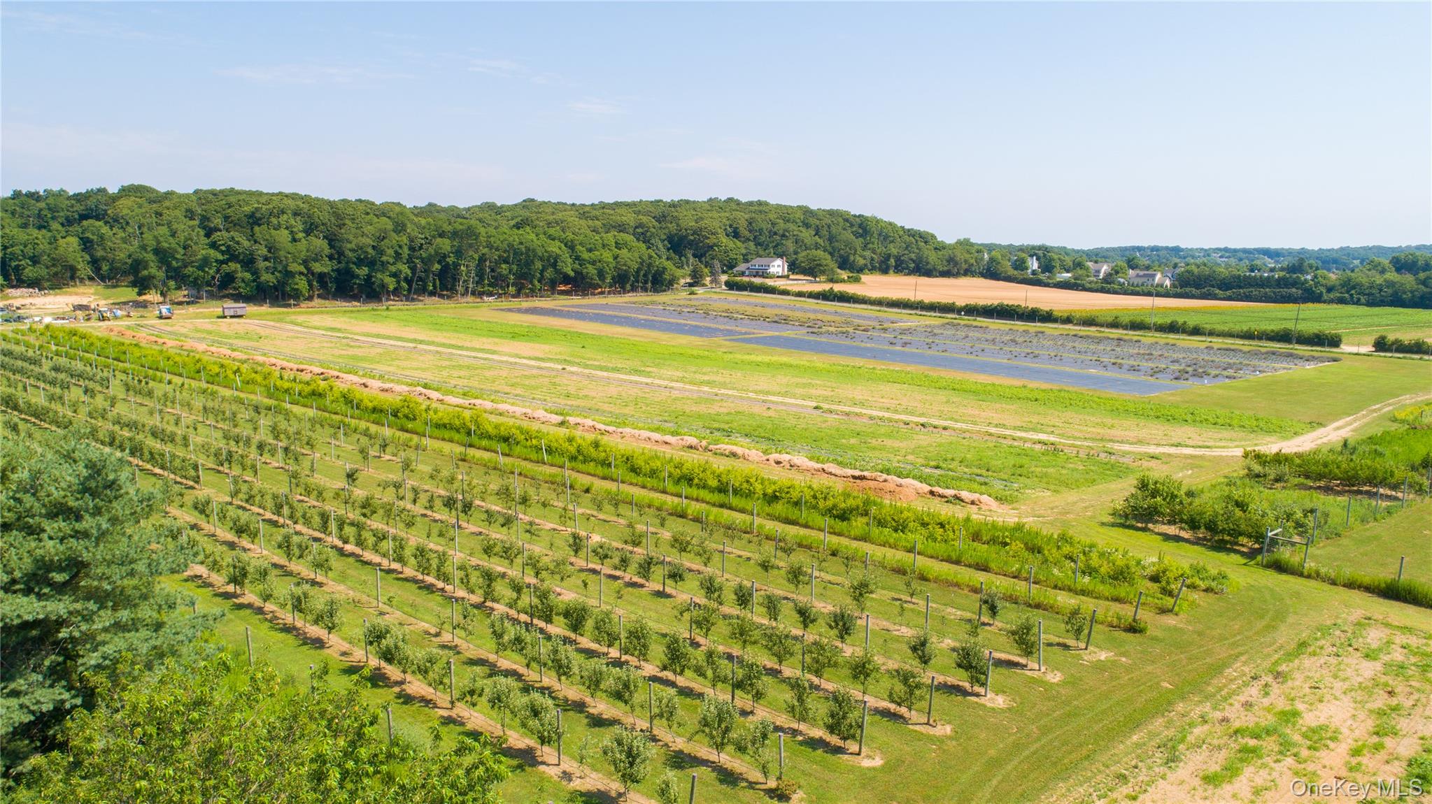 #17 photo, 3360 Sound Avenue, Riverhead , NY 11901