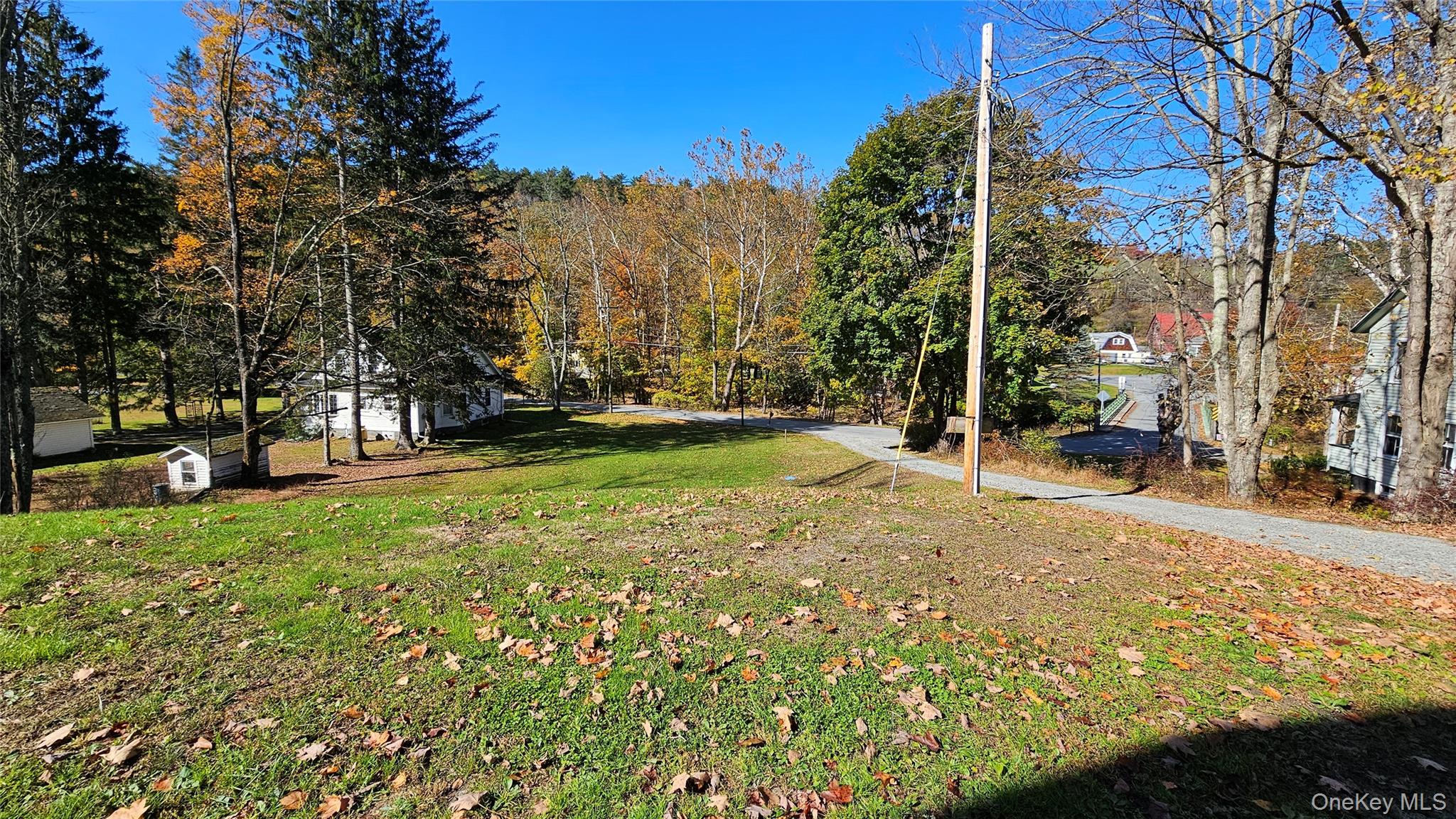 #18 photo, 130 Hortonville Main Street, Callicoon , NY 12723
