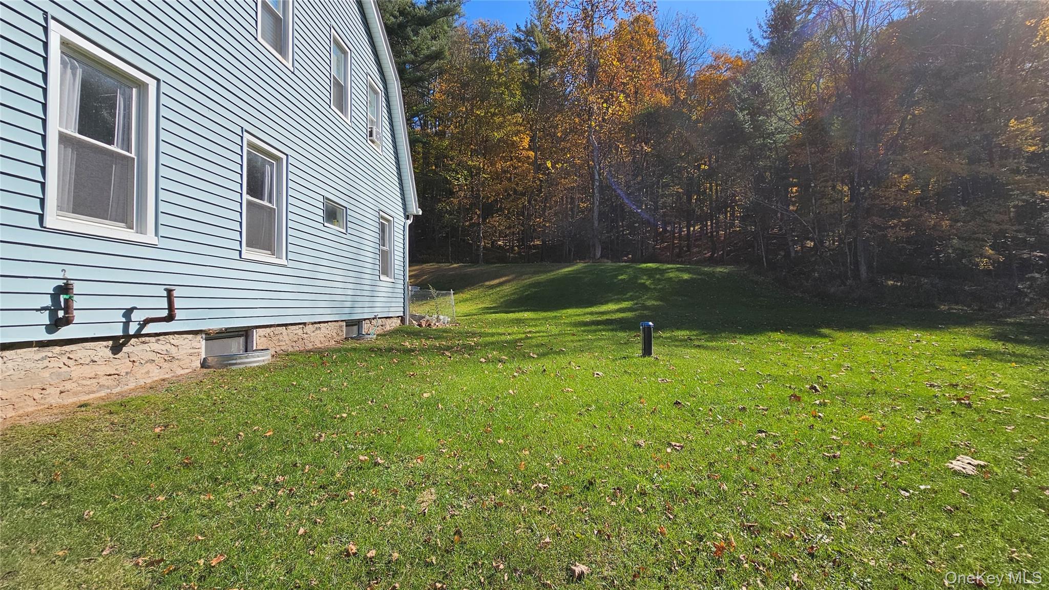 #19 photo, 130 Hortonville Main Street, Callicoon , NY 12723