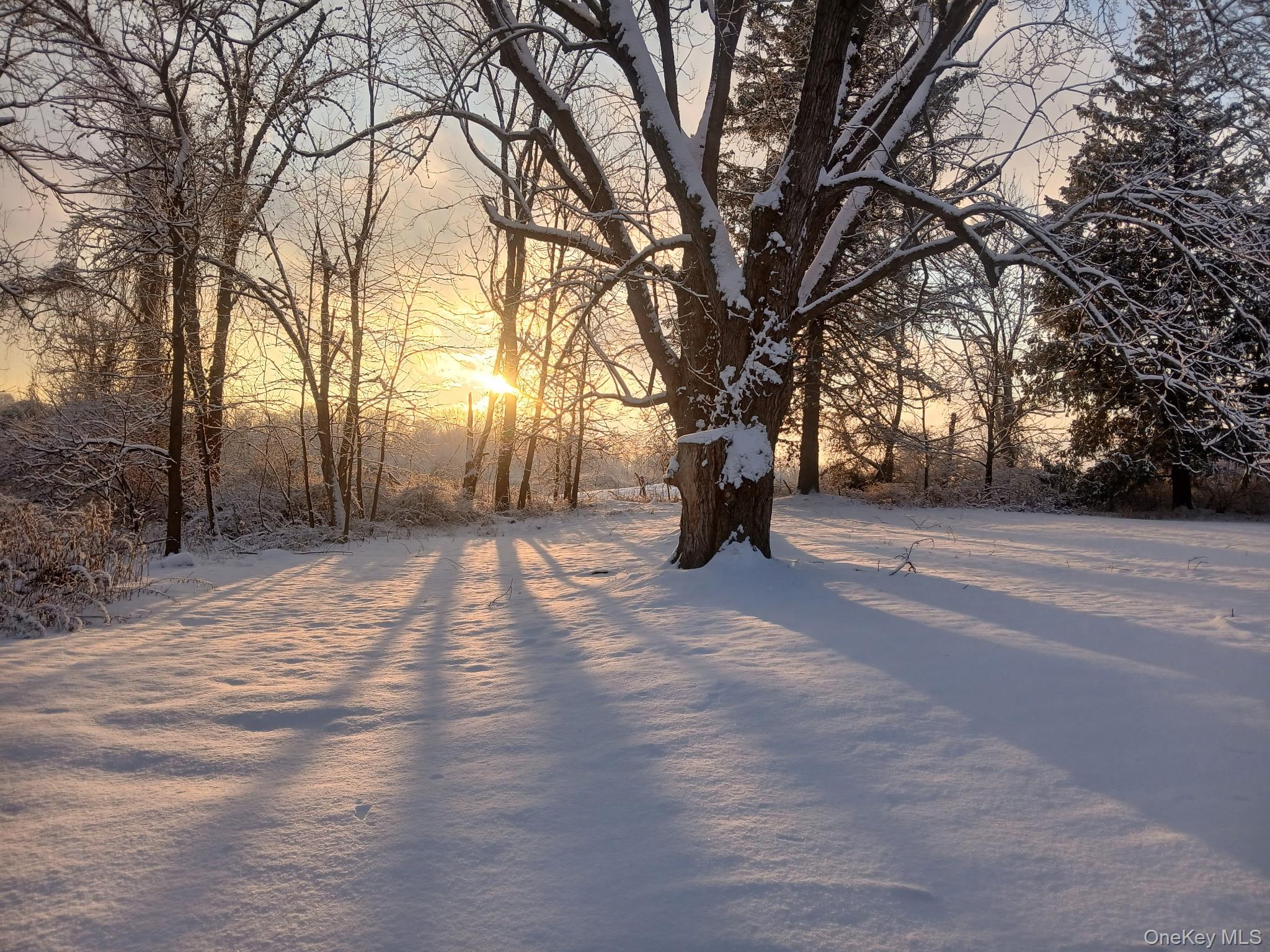 #1 photo, Lagrangeville, Lagrangeville , NY 12540