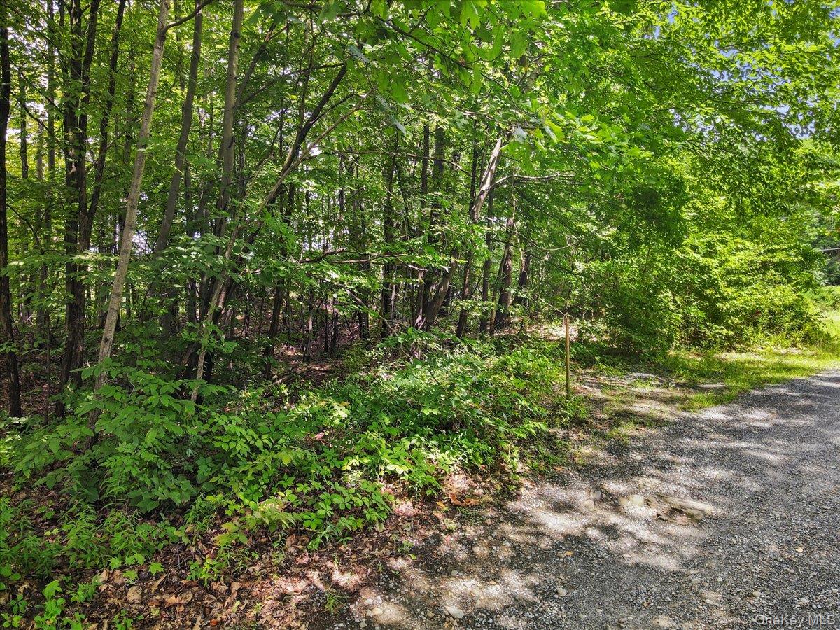 #1 photo, Beckrick Drive, Rhinebeck , NY 12572