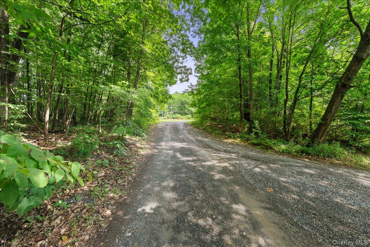 #5 photo, Beckrick Drive, Rhinebeck , NY 12572