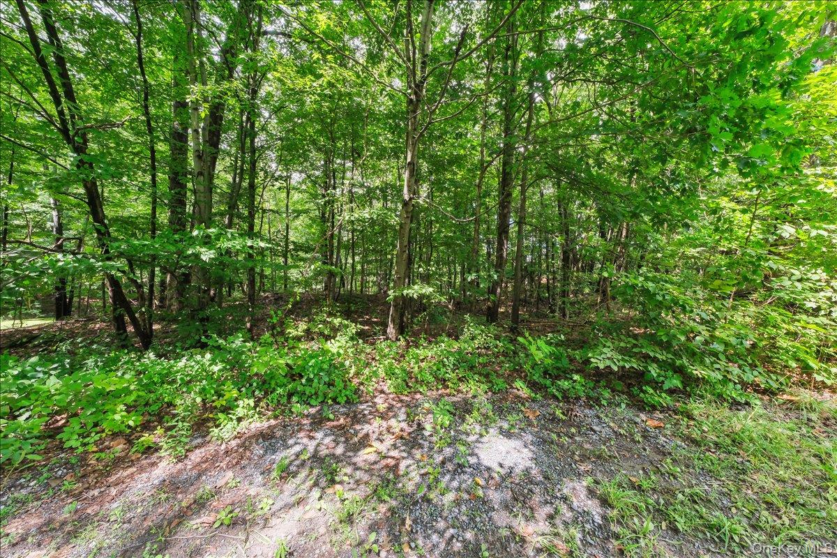 #7 photo, Beckrick Drive, Rhinebeck , NY 12572