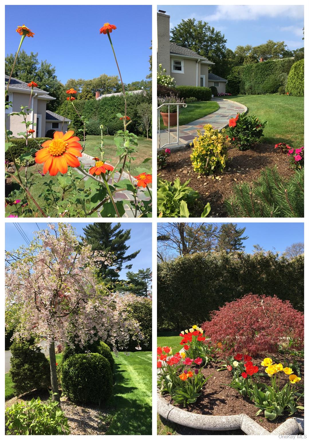 #15 photo, 4 Dupont Avenue, White Plains , NY 10605