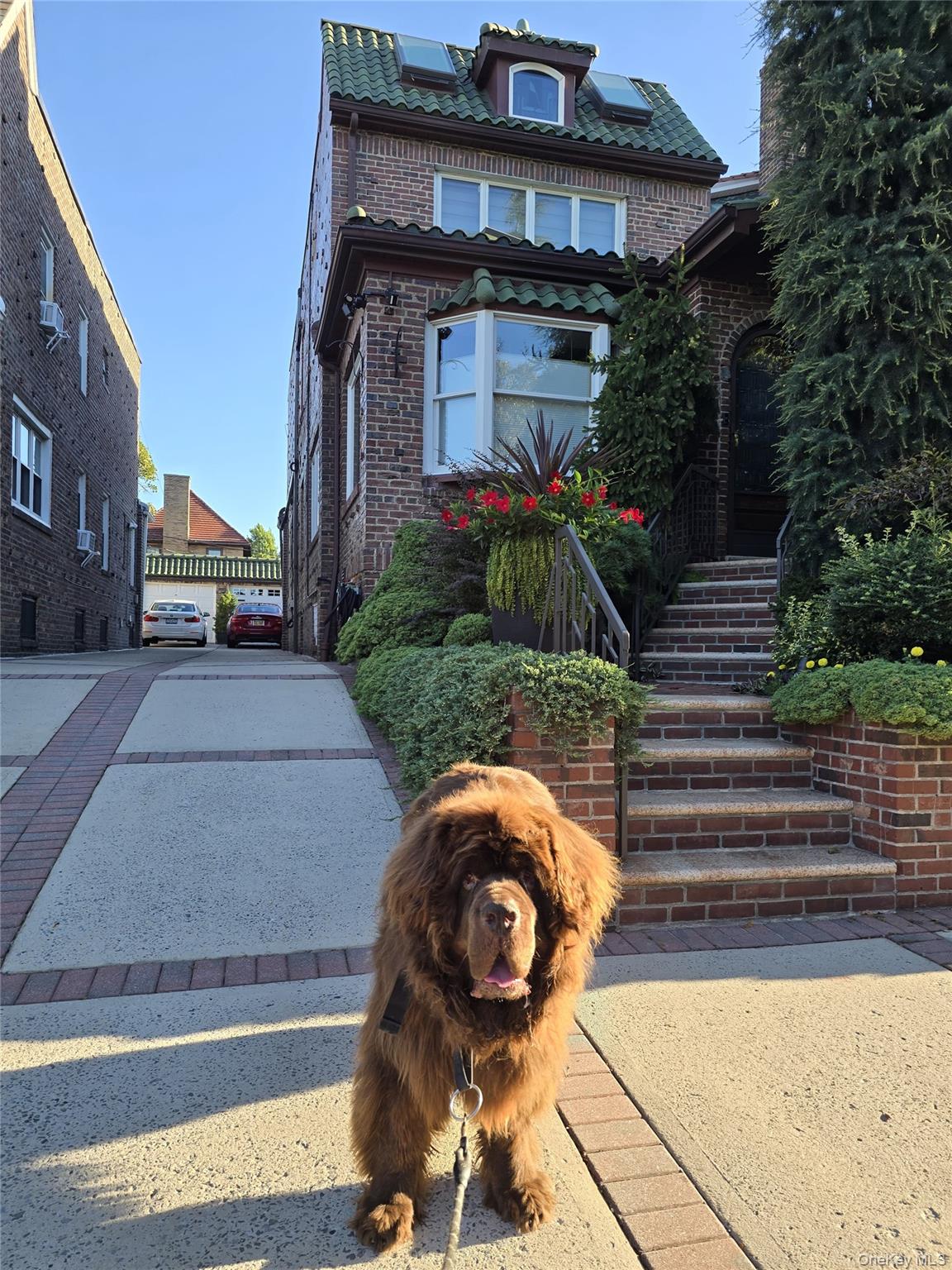 #1 photo, 137 82nd Street, Бруклин ‖ Brooklyn , NY 11209