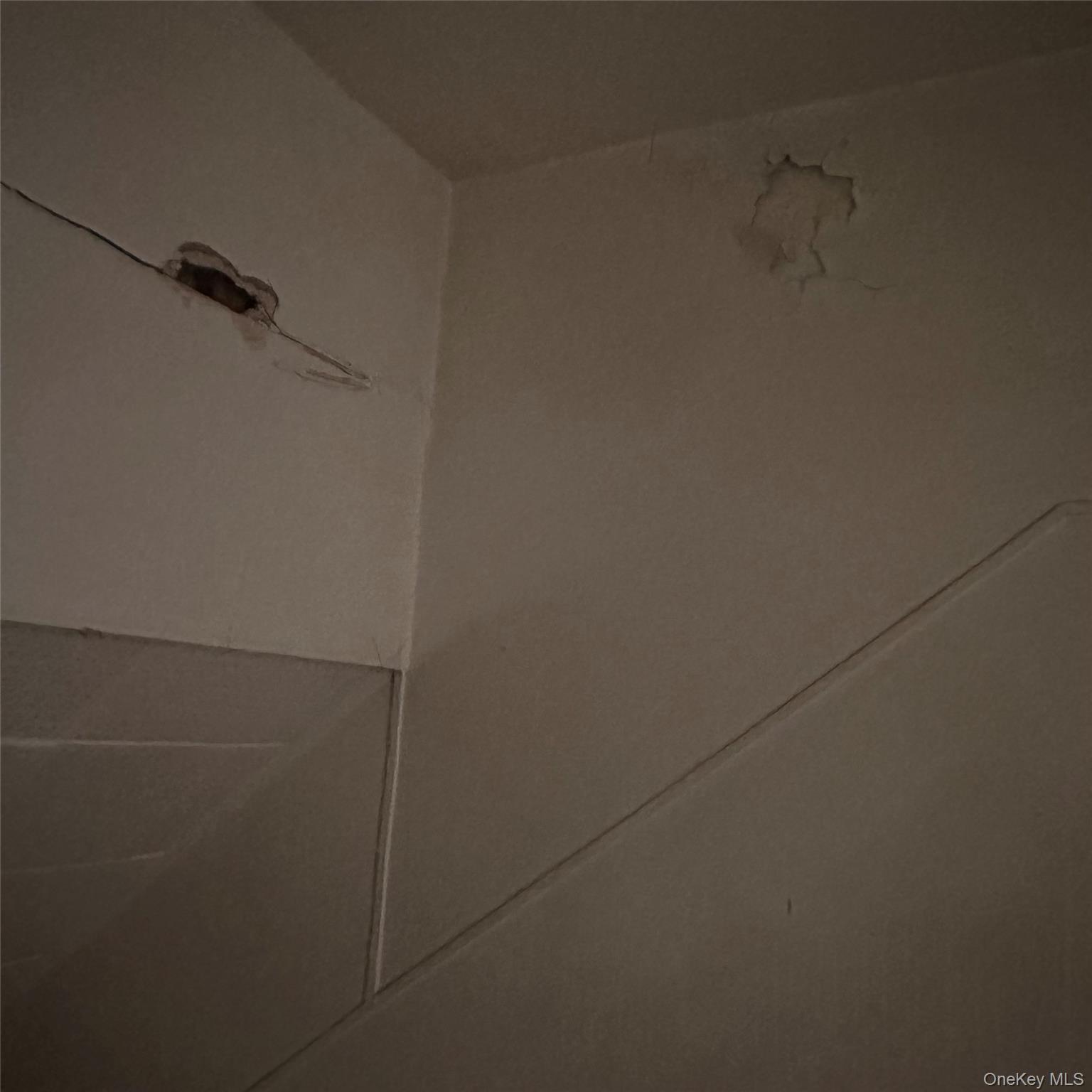 #7 photo, 10-31 116th Street, クイーンズ区 College Point , NY 11356