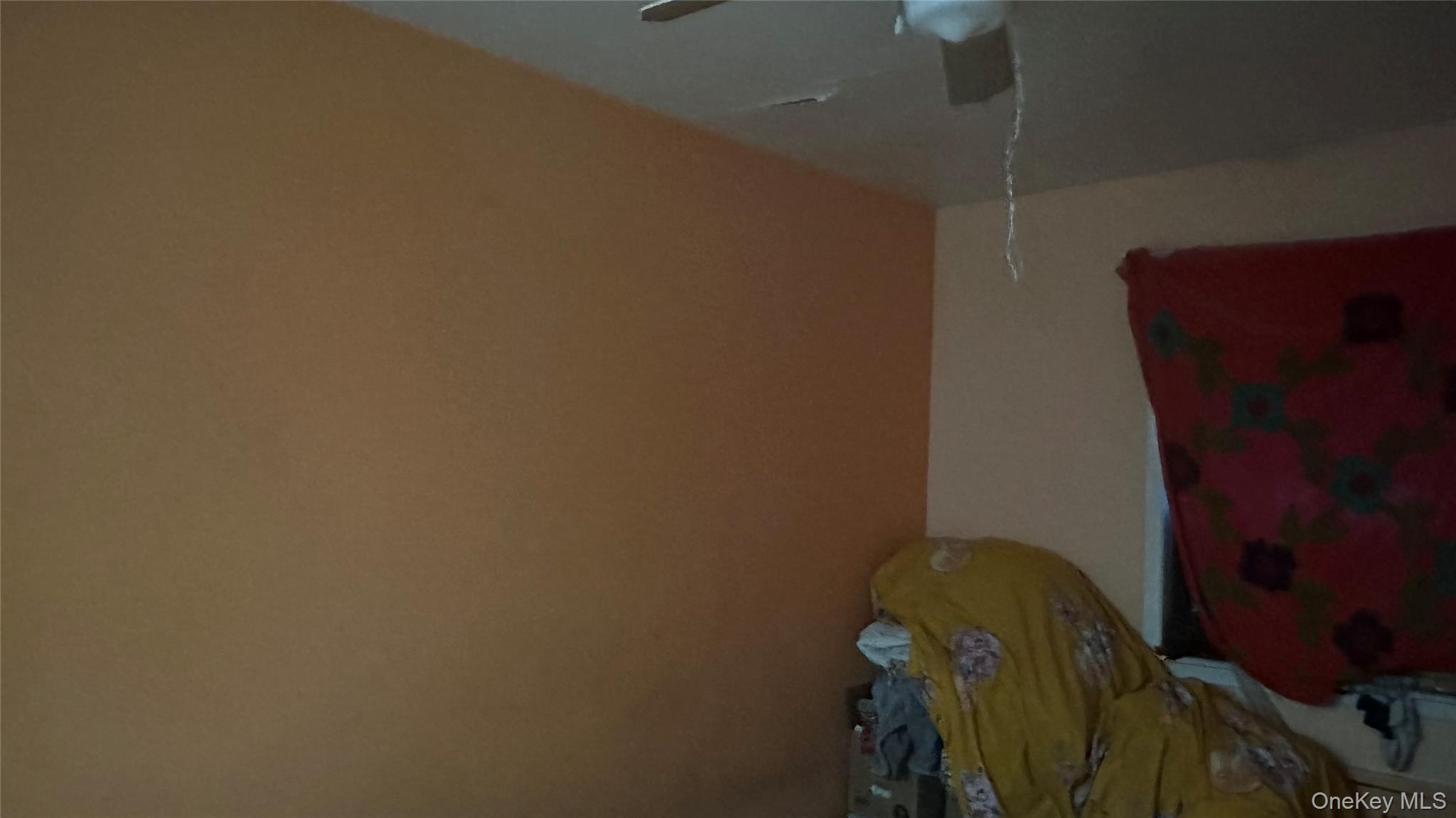 #9 photo, 10-31 116th Street, クイーンズ区 College Point , NY 11356