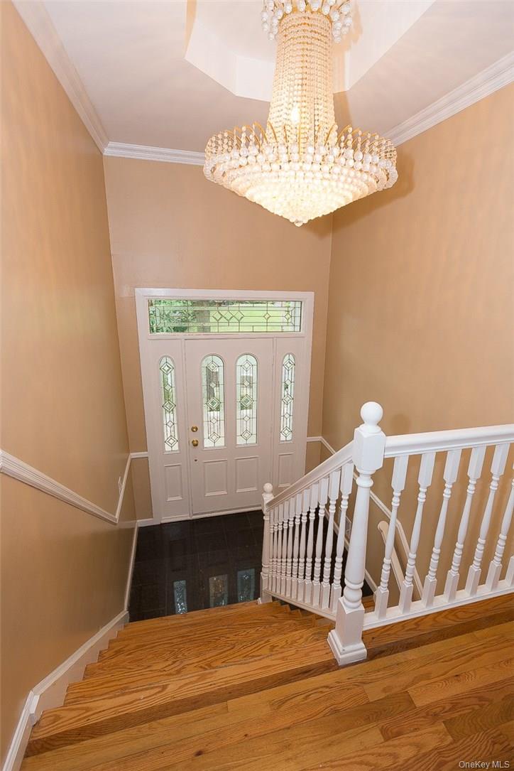 #3 photo, 49 Soulice Place, 纽约州 New Rochelle , NY 10804