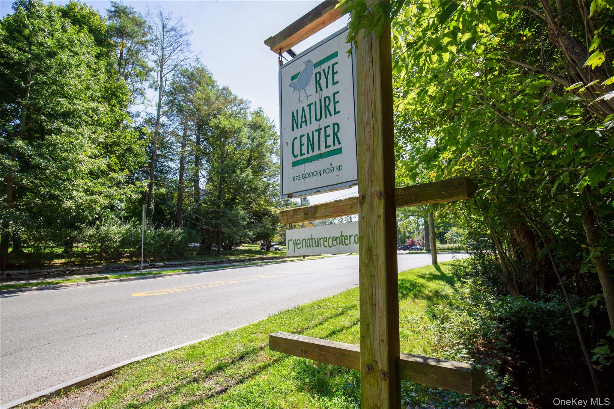 #14 photo, 100 Theodore Fremd Avenue, Rye , NY 10580