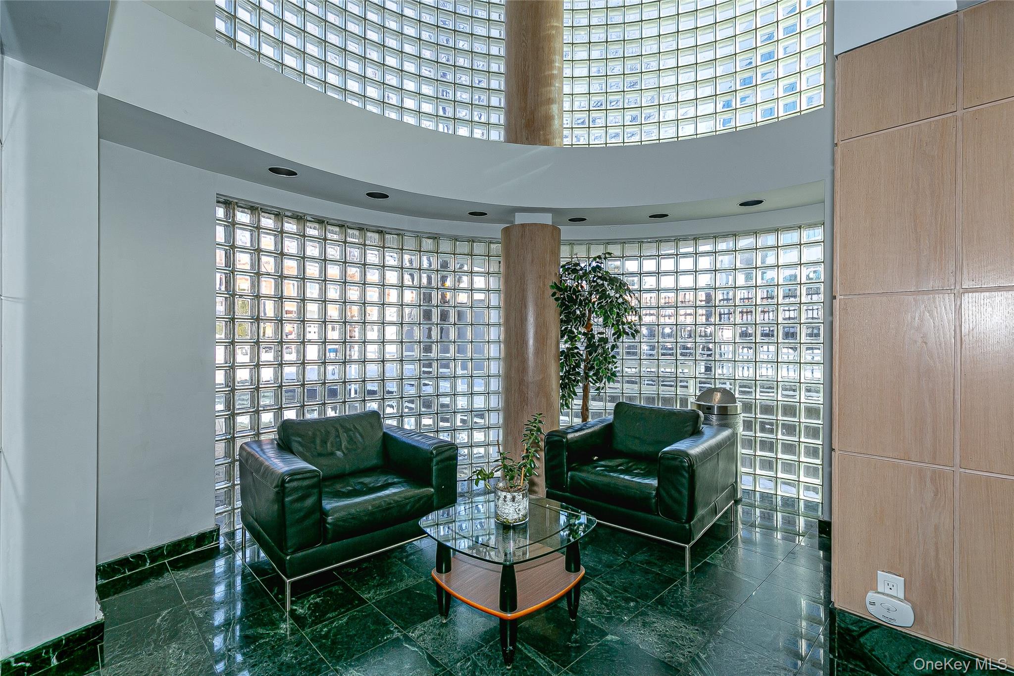 #3 photo, 88 Cuttermill Road, Great Neck , NY 11021