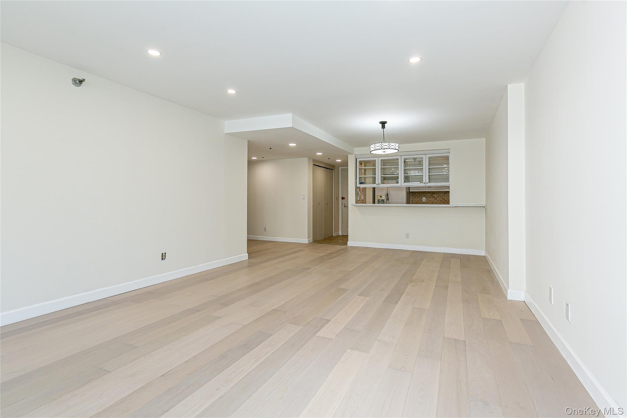 #8 photo, 88 Cuttermill Road, Great Neck , NY 11021