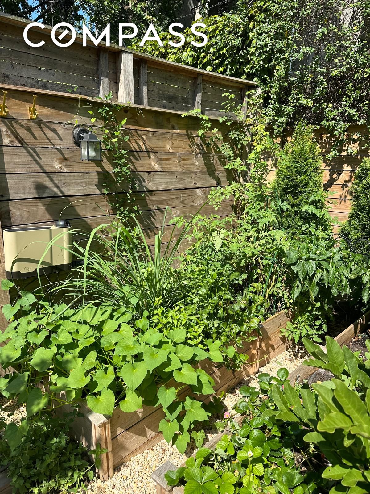 #20 photo, Brooklyn, הברונקס Bedford-Stuyvesant , NY 11233