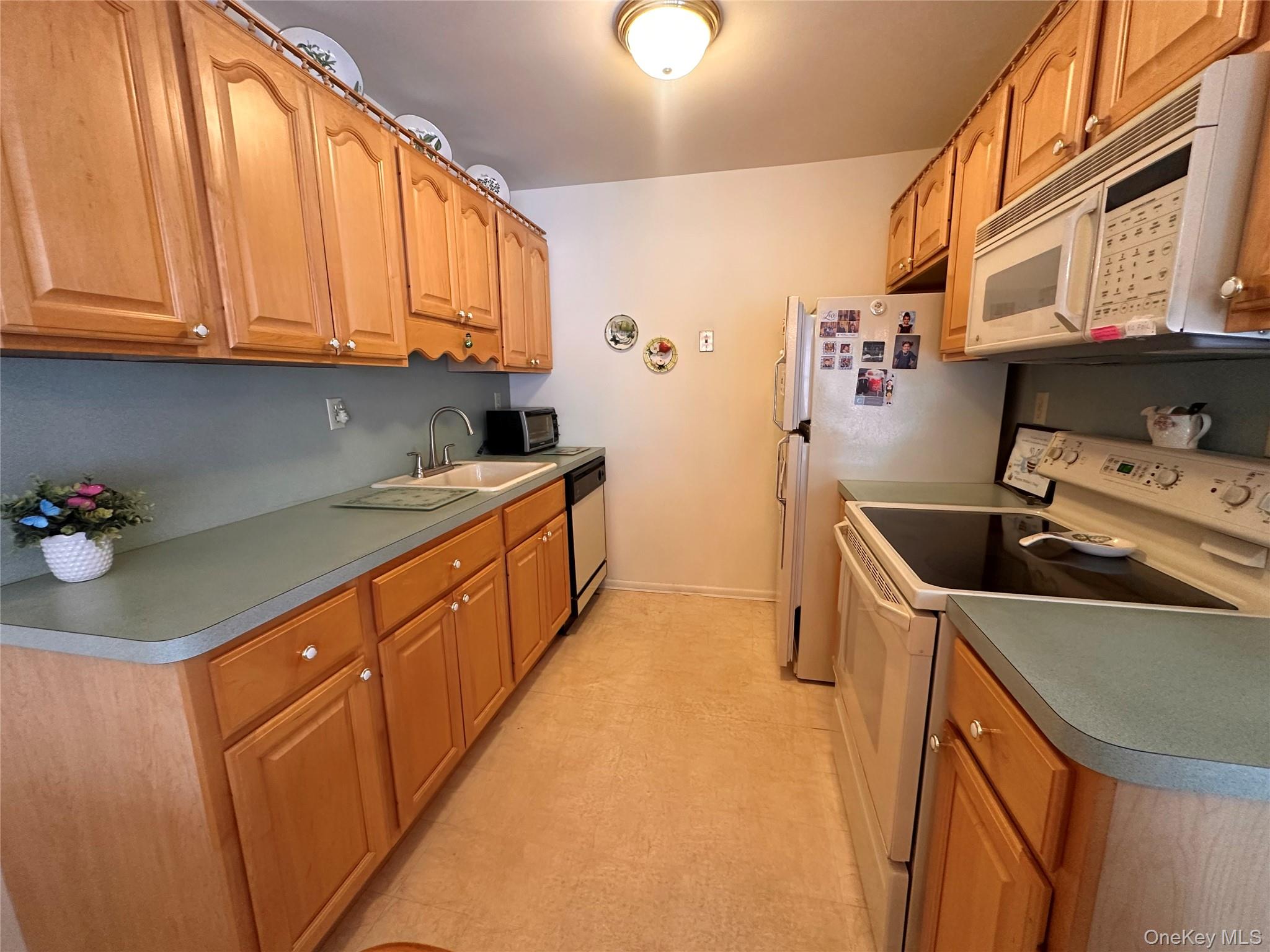 #8 photo, 258 Newcastle Court, Ridge , NY 11961