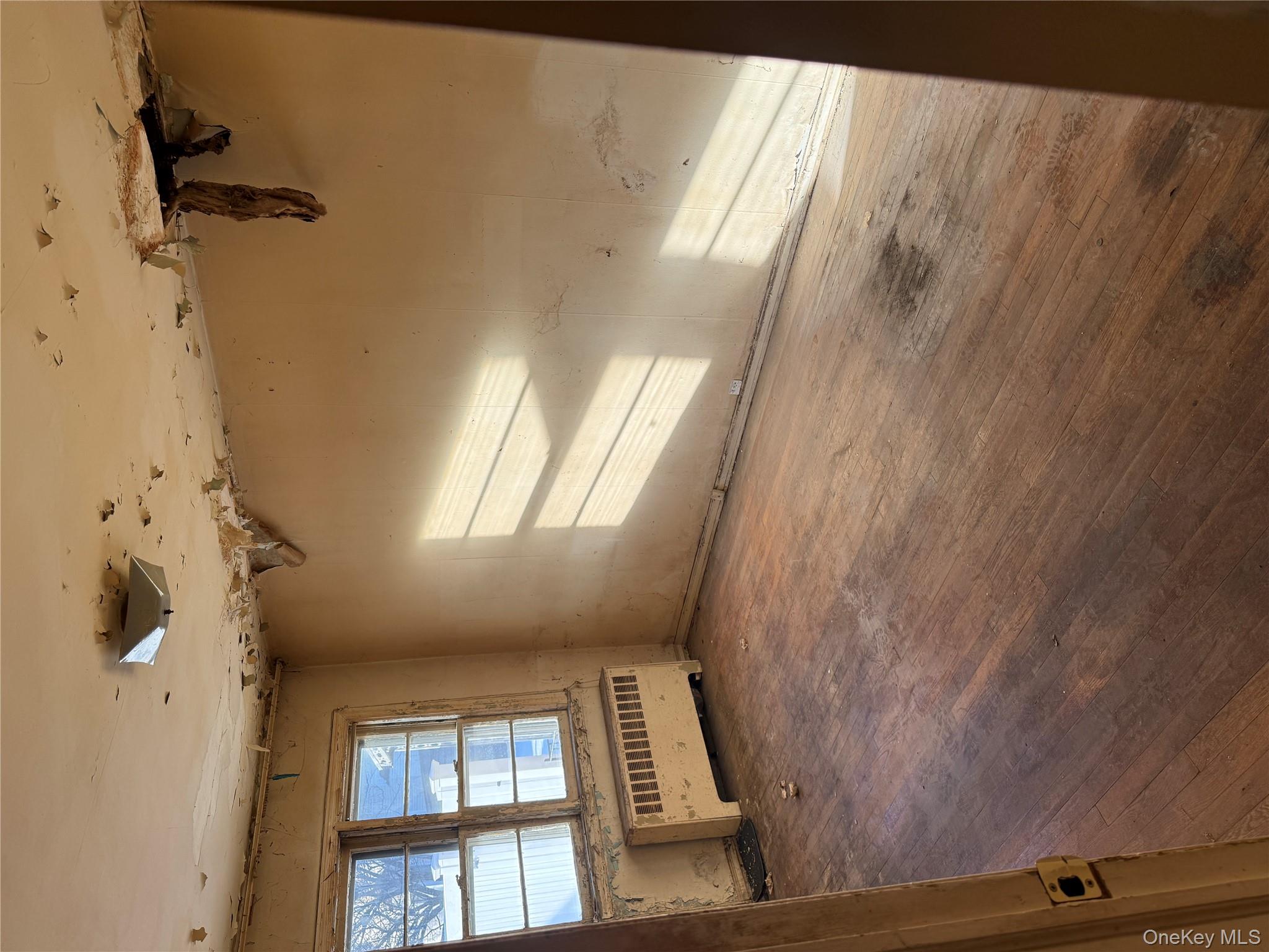 #19 photo, 3832 215th Place, Bayside , NY 11361