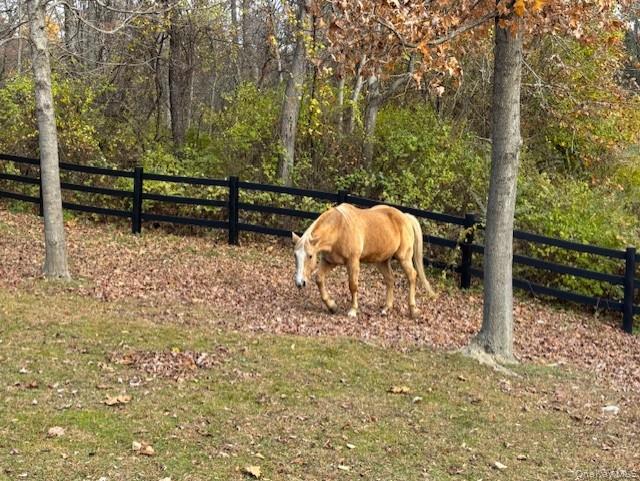 #5 photo, 71 Frost Road, Rhinebeck , NY 12572