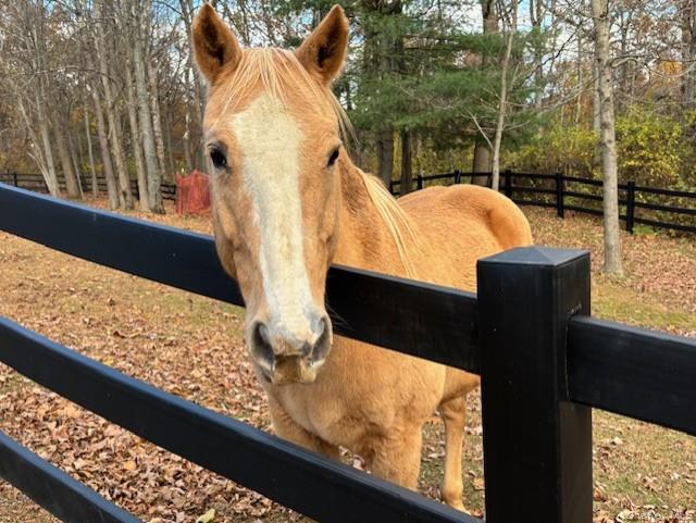 #6 photo, 71 Frost Road, Rhinebeck , NY 12572