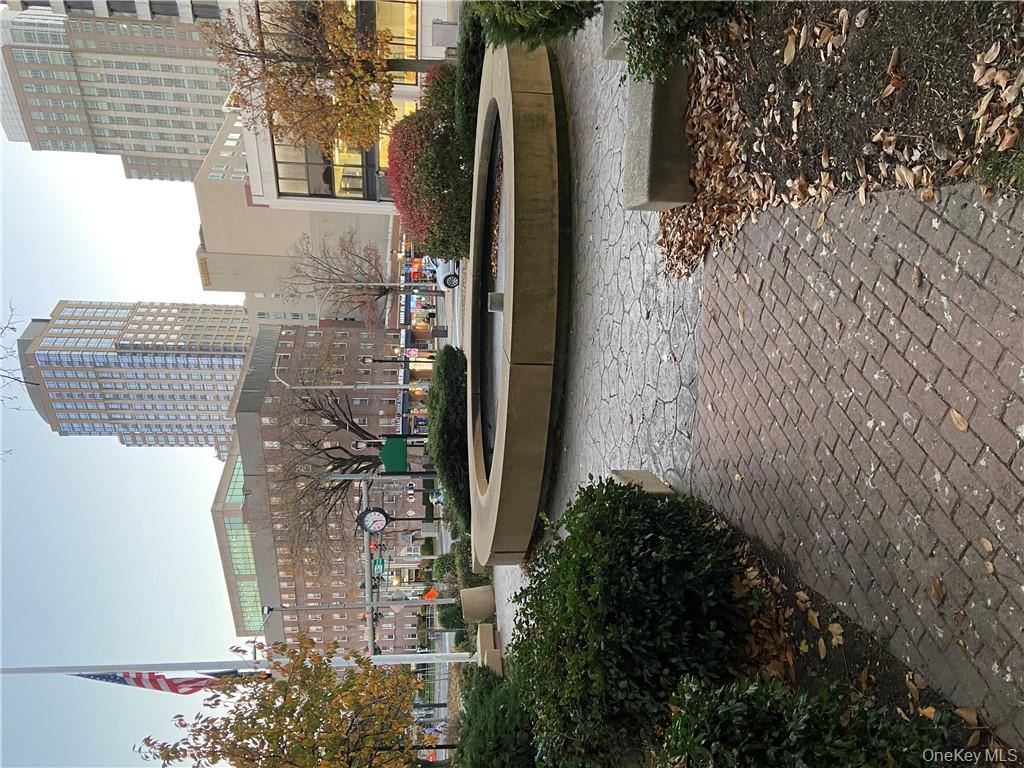 #19 photo, 10 N Broadway, White Plains , NY 10601