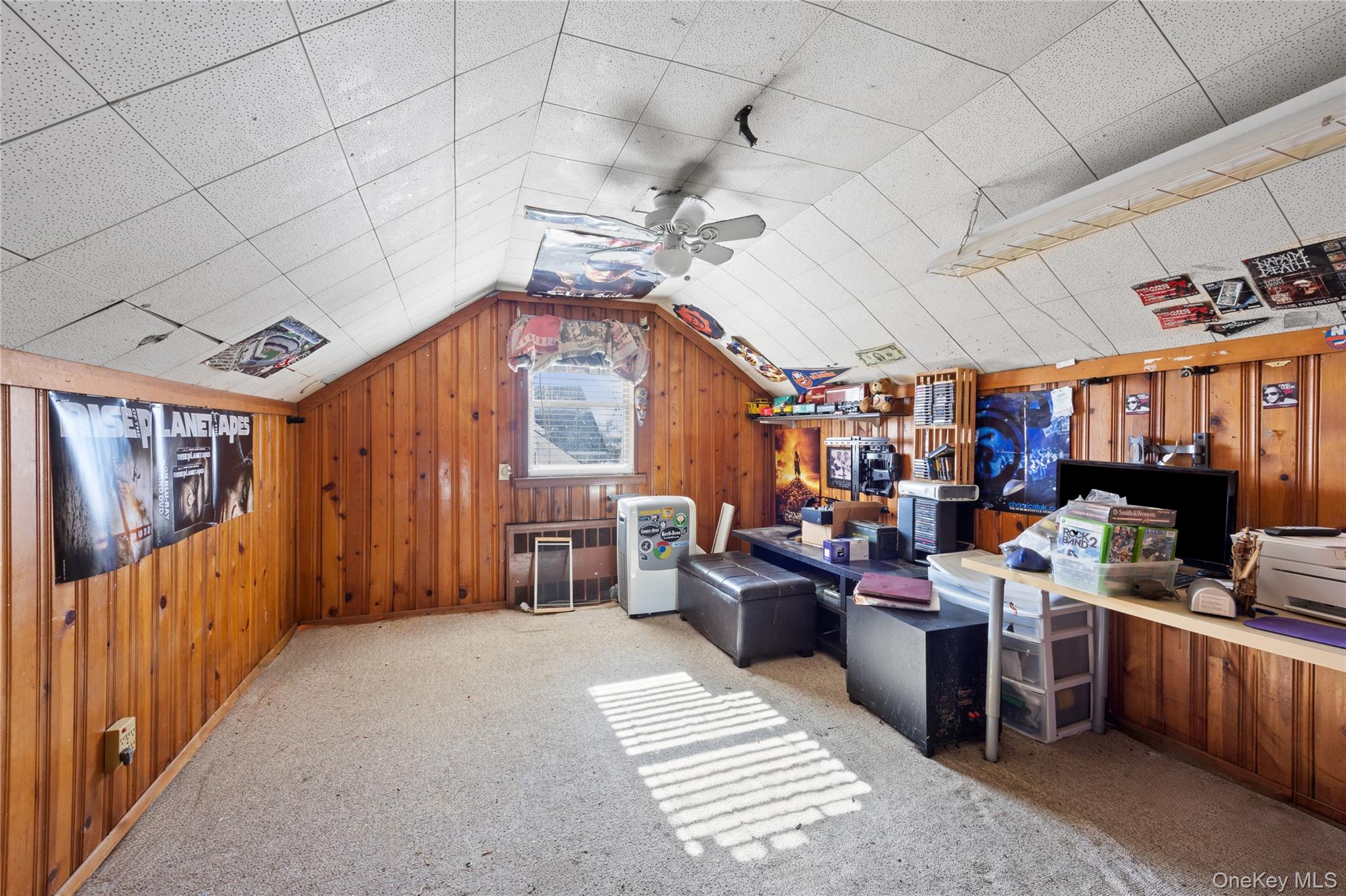 #15 photo, 27 Elizabeth Drive, नासाउ काउंटी Bethpage , NY 11714