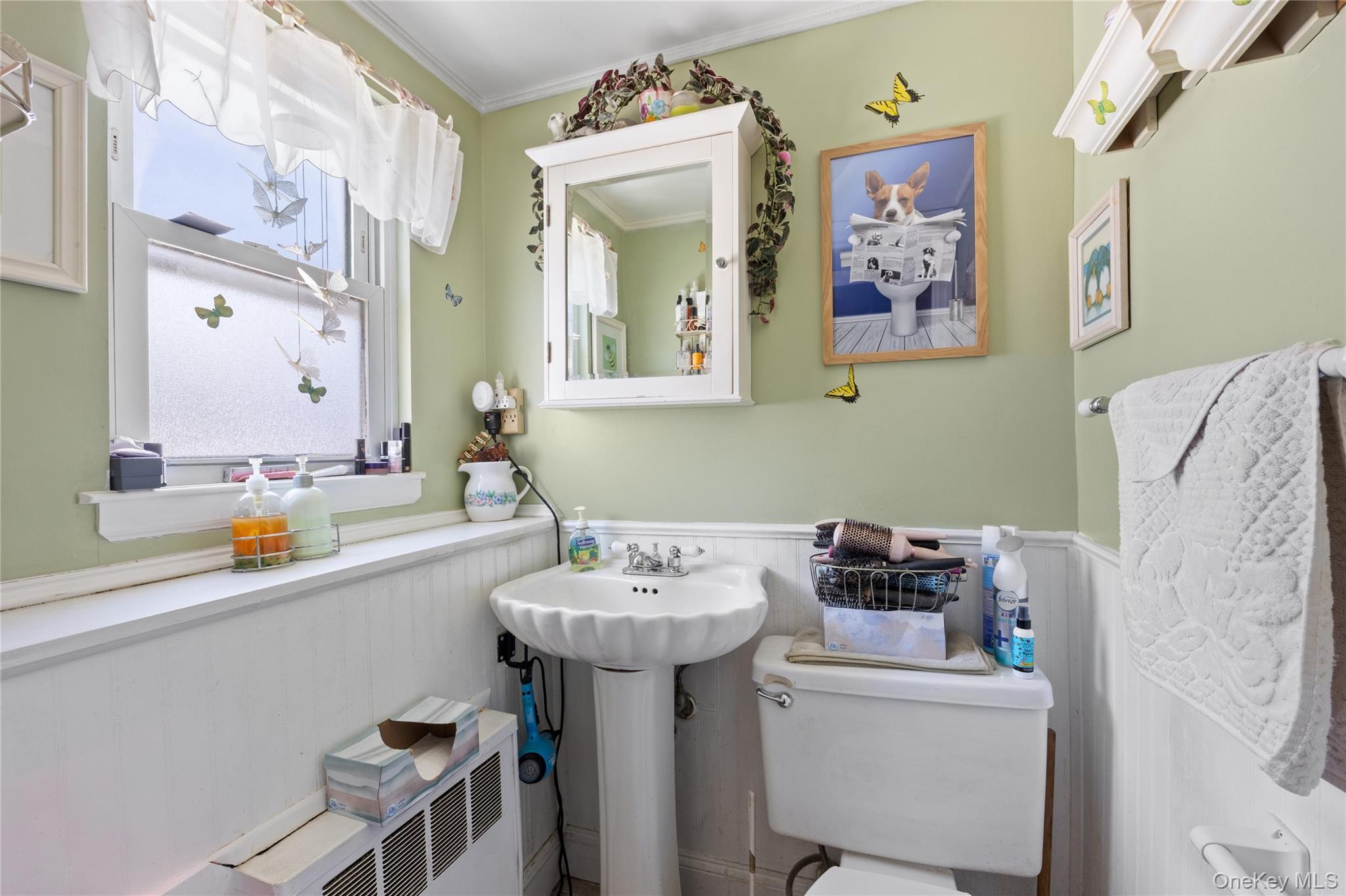 #19 photo, 27 Elizabeth Drive, नासाउ काउंटी Bethpage , NY 11714