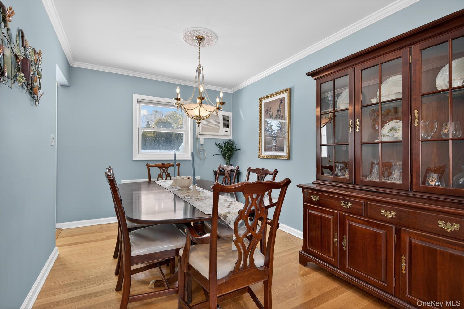 #7 photo, 113 Kuhl Avenue, Hicksville , NY 11801