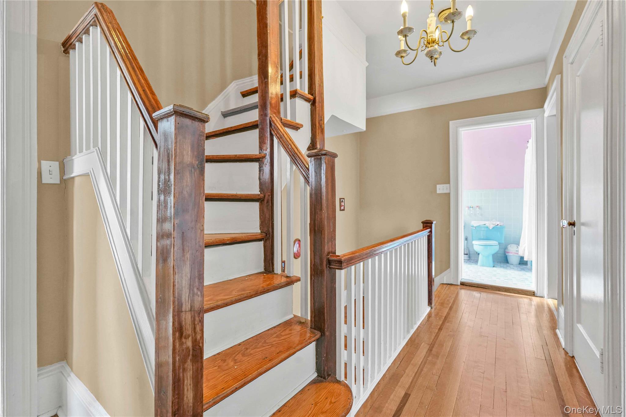 #19 photo, 3326 162nd Street, Flushing , NY 11358