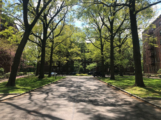 #1 photo, 1 Larchmont Acres, #725C, Larchmont , NY 10538