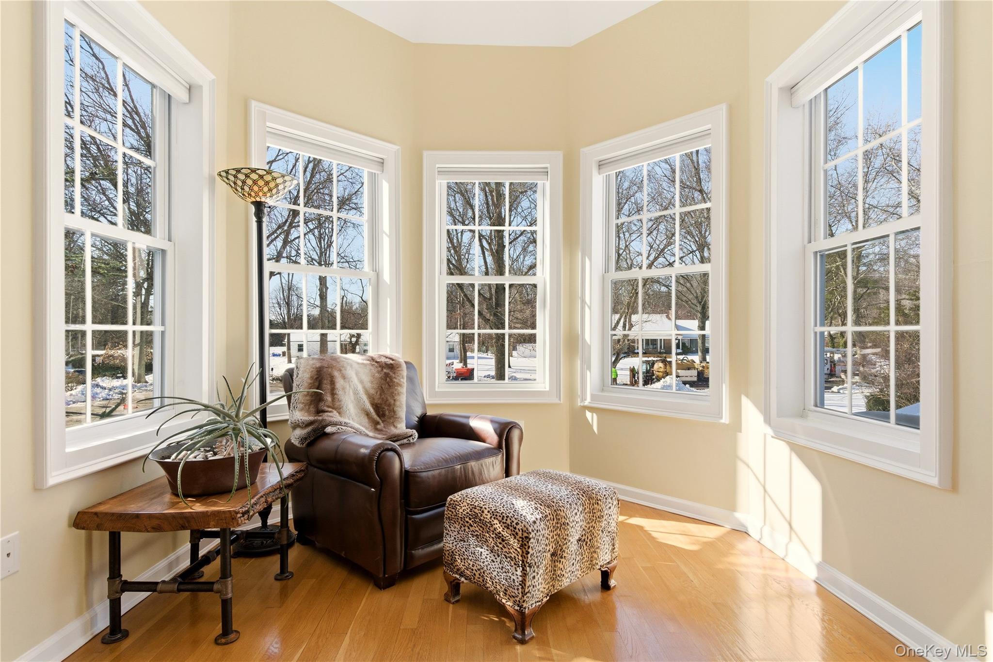 #14 photo, 6 Empire Court, 东长岛 Dix小山 Dix Hills , NY 11746