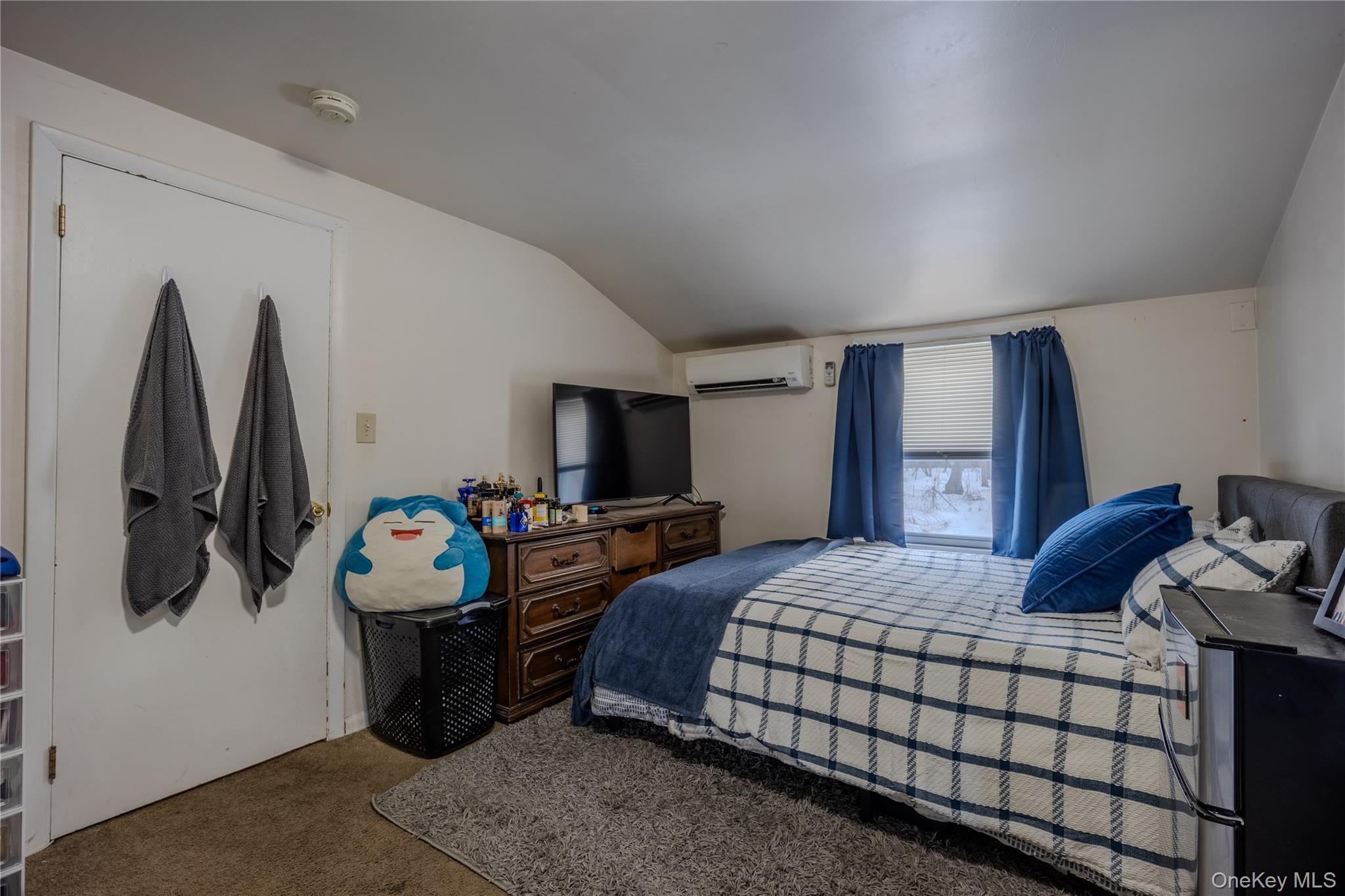 #15 photo, 42 W Cedar Street, Poughkeepsie , NY 12601