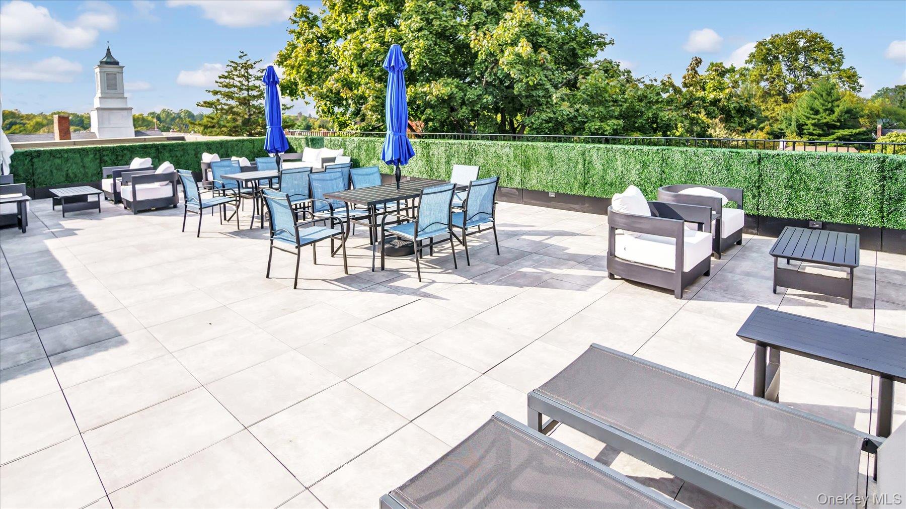 #11 photo, 22 Park Place, Great Neck , NY 11021