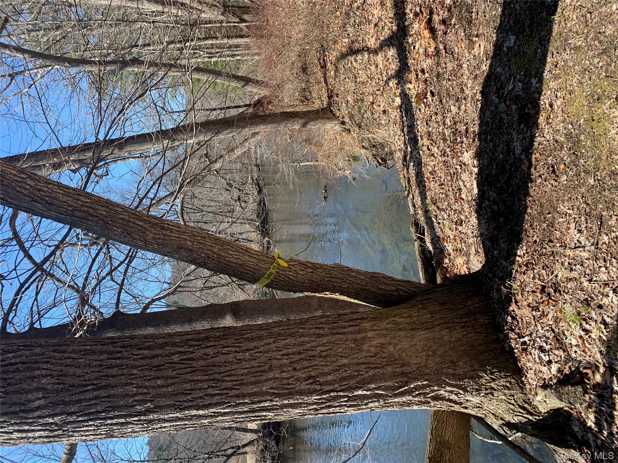 #1 photo, Jackson Corners, Red Hook , NY 12571