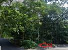 28 Rocky Hill Road 东长岛 Mount Sinai, NY